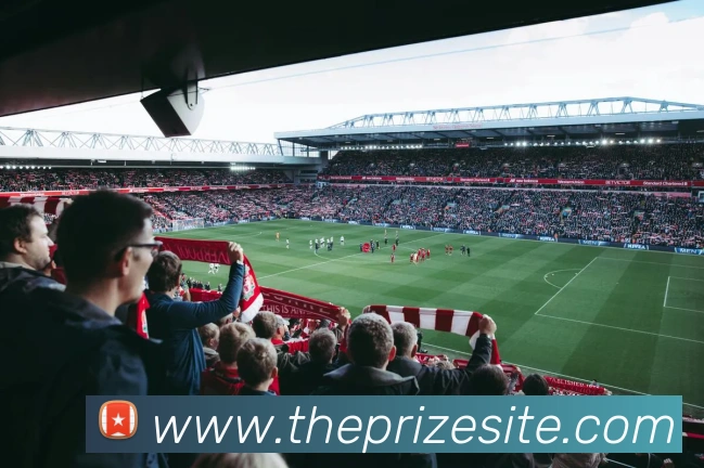 奖项图1